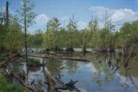 https://zdenekdanek.net/en/files/gimgs/th-52_2020, 40x60 cm.jpg